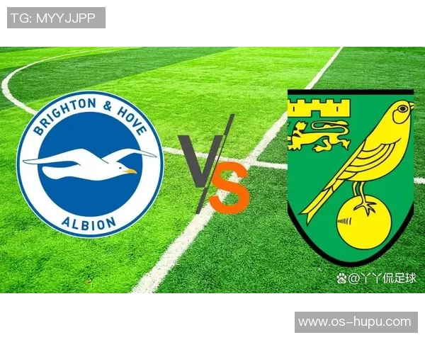 伯明翰与布莱顿对决前瞻分析球队状态及战术布置探讨