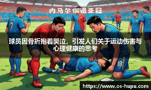 虎扑体育nba