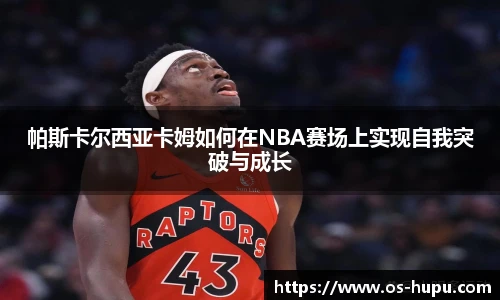 虎扑体育nba