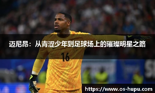 虎扑体育nba