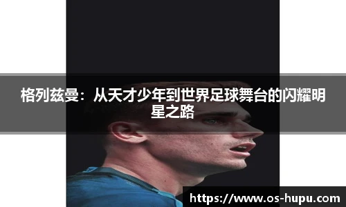 虎扑nba